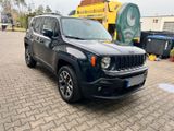 Jeep Renegade 2.0 MultiJet 103kW D Night Eagle 4x... - Jeep Renegade: Night Eagle