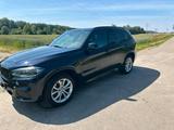 BMW bmw X5 x drive 40d M paket 5 sitzer - BMW X5 mit Diesel-Antrieb: D X Drive