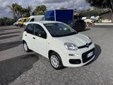 Fiat Panda 1.2 Easy s&s 69cv my19 - Fiat Panda Cabrio Gebrauchtwagen