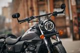 UM Renegade Freedom - Offers matching your search criteria