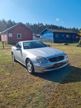 Mercedes-Benz SLK 200 KOMPRESSOR - R170 - Mercedes-Benz: Cabrio, 170