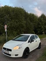 Fiat Pinto - Fiat Punto in Hannover