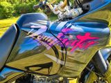 Honda NX 650 Dominator - TÜV Neu - Offers matching your search criteria