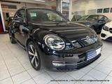 Volkswagen Beetle Lim. Sport 1.4 6-Gang - LEDER FENDER PANO - Volkswagen Beetle Gebrauchtwagen
