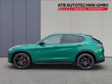 Alfa Romeo Stelvio Veloce Leder + Assist Paket, HK, Pano So - Alfa Romeo: Grün