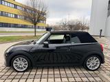 MINI Cooper Cabrio Class. Trim Autom/Leder/LED/DAB - MINI Cooper Cabrio mit Panoramadach