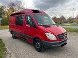 Mercedes-Benz SPRINTER 313 CDI HOCH & LANG / TÜV - Mercedes-Benz Sprinter aus 2010: 313