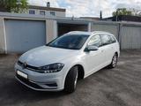 Volkswagen Golf 1.6 TDI DSG Trendline Variant Trendline