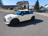 MINI ONE_FIRST Mini 3-trg. One First - MINI One First Gebrauchtwagen