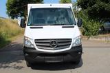 Mercedes-Benz Sprinter 516 CDI 310 Cold Car 5+5 Türen -33°C - Offers