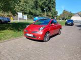 Nissan Micra C+C Premium 1.6 Premium - Nissan Micra mit Benzin-Antrieb: Cabrio, 1.6