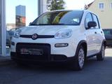 Fiat Panda Base Hybrid Benzin Euro 6 - Fiat Panda Gebrauchtwagen in Nürnberg