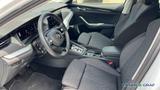 Skoda Octavia Combi 1.5 TSI e-Tec Clever ACC LED NAVI - Skoda Gebrauchtwagen in Erlangen