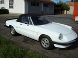 Alfa Romeo Oldtimer Alfa Romeo Spider 1600 - Alfa Romeo Spider 1600 Gebrauchtwagen