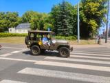 Jeep Willys M38A1  US Army orginal 24V Ele... - Jeep: M38a1