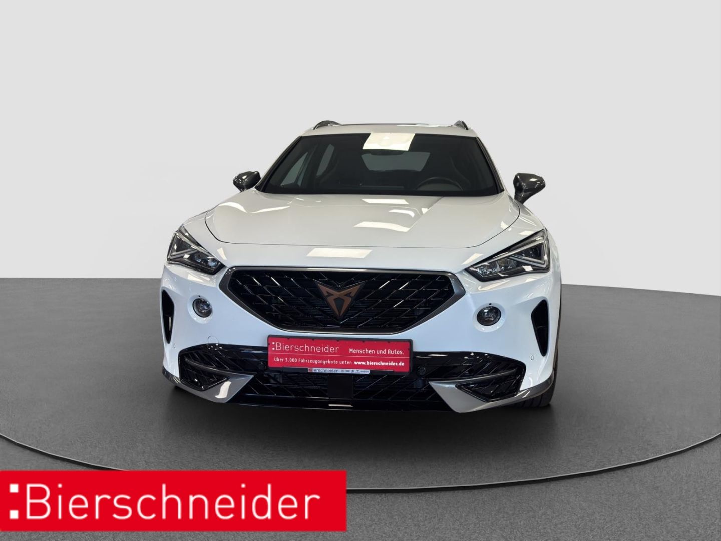 Cupra Formentor 1.5e TSI DSG AHK PANO NAVI RFK imagem 2