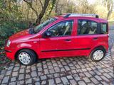 Fiat Panda 1.2.  BJ 2010   Serie 169    !!... - Fiat Panda Gebrauchtwagen in Krefeld