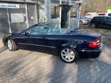 Mercedes-Benz CLK 500 CLK Cabrio CLK 500 - gebrauchte Mercedes-Benz CLK 500 aus dem Jahr 2004