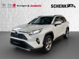 Toyota RAV 4 RAV4 Hybrid 4x4 Team Deutschland - Toyota RAV 4 aus 2020
