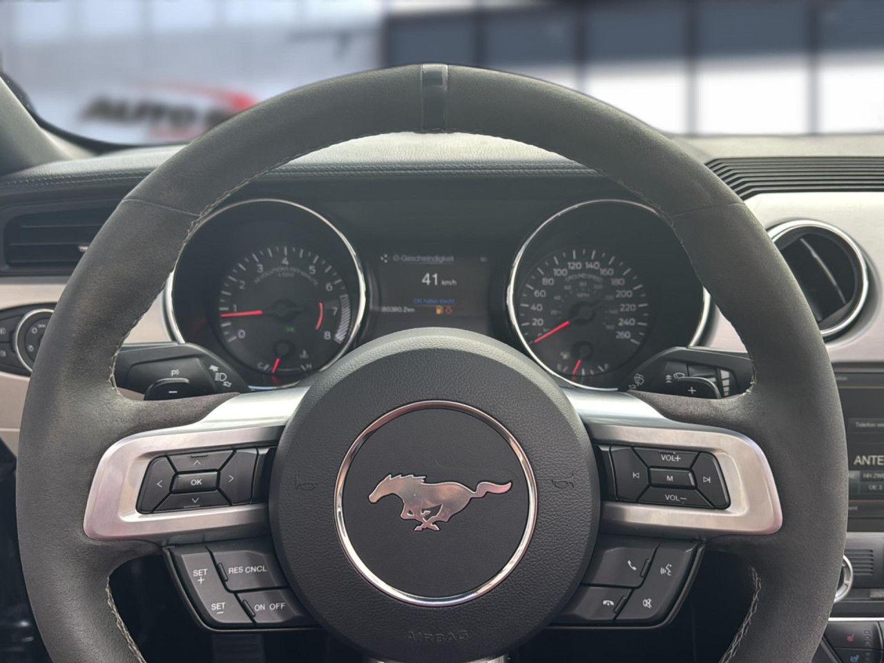 Ford Mustang GT 5.0 Convertible Automatik Xenon Leder