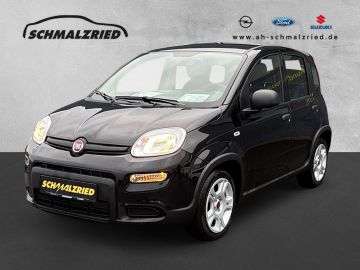 Fotografie Fiat Panda Base 1.0 Mild Hybrid DAB Berganfahrass. Kl