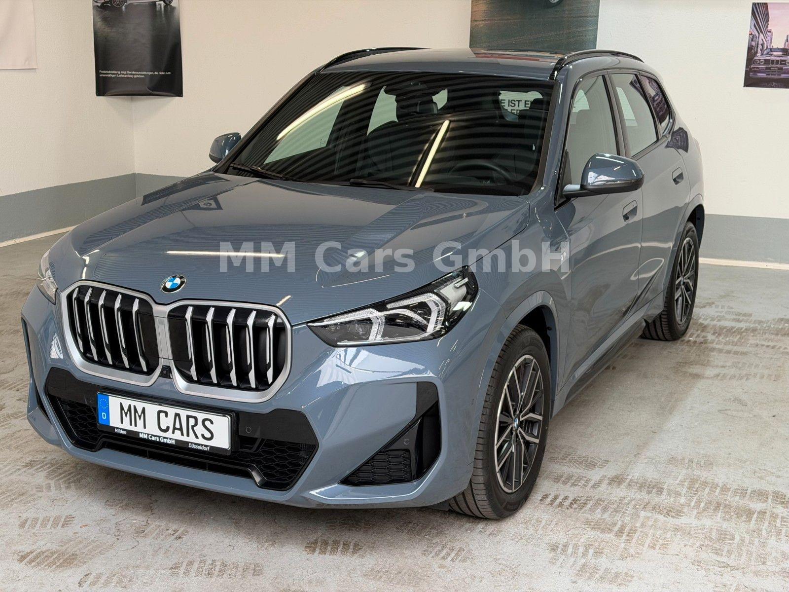 BMW X1 sDrive20i M Sport 360°|ACC|AHK|DAP|H&K|HUD|