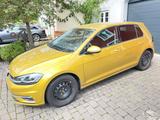 Volkswagen Golf 1.6 TDI Sound Sound - : Gold, TDI