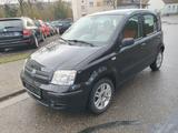 Fiat Panda 1.2 8V Dynamic - gebrauchte Fiat Panda aus dem Jahr 2007