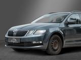 Skoda Octavia Clever PANO SunSet Tempomat LED Privacy - Skoda Octavia: Clever