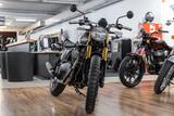Royal Enfield BEAR 650 neues Modell 2025, sofort lieferbar - Royal Enfield Bear 650