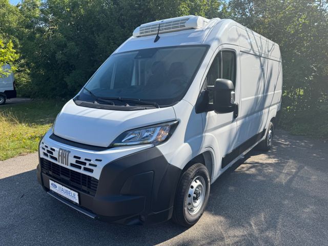 Fiat Ducato Tiefkühler L2H2 Thermoking V300 Max