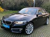 BMW 230i Cabrio Luxury Line *Braunes-Leder *Kamera * - scheckheftgepflegte BMW 230