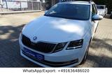 Skoda Octavia Combi Ambition - Skoda Octavia mit Diesel-Antrieb: Ambition