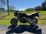 Suzuki Bandit N1200 - Offers matching your search criteria