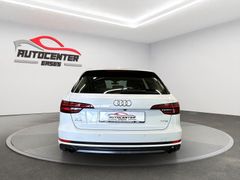 AUDI A4 design S-Line LED Kamera Leder Panorama 