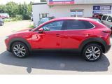 Mazda CX-30 Selection 2WD Hybrid Scheckheftgepflegt - Mazda CX-30 in Essen