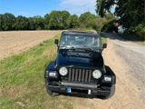 Jeep Wrangler tj 2,5 - Jeep Wrangler mit Benzin-Antrieb: Cabrio