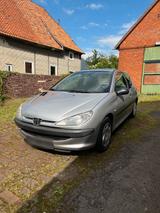 Peugeot 206  60 PS  127.000 km  3. Hand... - Peugeot 206 aus 2001: 1.6