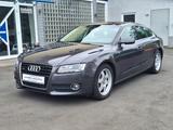 Audi A5 Sportback quattro DSG  Navi Xenon Top 240 PS - mit Diesel-Antrieb: 24