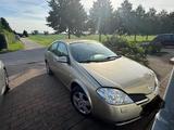 Nissan Gepflegtes Nissan Primera - Nissan Primera von privat