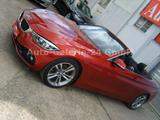 BMW 430i Cabrio Sport Line Harman, HUD, Leder, LED - BMW 430 in Berlin