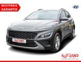 Hyundai Kona 1.0 T-GDI AAC Kamera SHZ VC Temp Alu