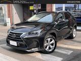 Lexus NX 300h Luxury NX 300h HEV #7331 - Lexus: 7