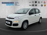 Fiat Panda MY25 Hybrid 1.0 GSE - Fiat Panda Gebrauchtwagen in Bremen