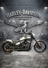 Harley-Davidson Softail Breakout 114 BREAKOUT CUSTOM BIKE - HARLEY-DAVIDSON CUSTOM BIKE