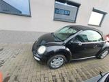 Volkswagen VW NEU BEETLE CABRIO - Volkswagen Beetle aus 2004: Cabrio