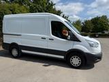 Ford Transit L2H2 Transporter - Ford: Transporter