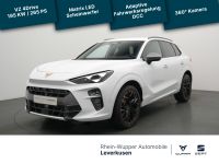 Cupra Terramar - Vorschau Bild 1