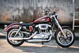 Harley-Davidson XL1200L Sportster 1200 Super Low - Miller - Motorräder in Bonn