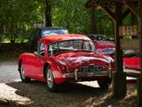 MGA - gebrauchte MG MGA aus dem Jahr 1959